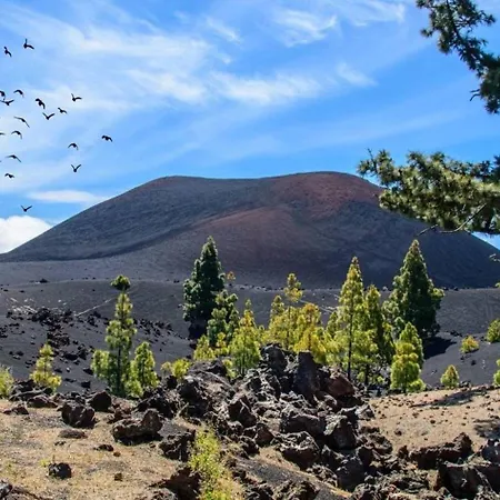 C San Jose De Llanos Appartamento *