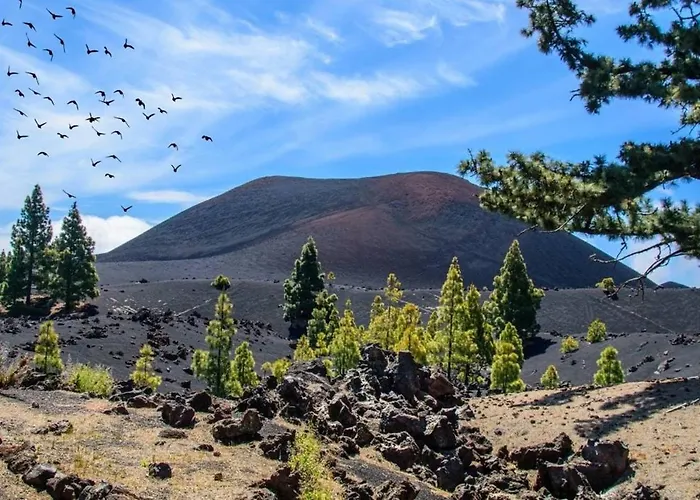 C San Jose De Llanos Appartement *